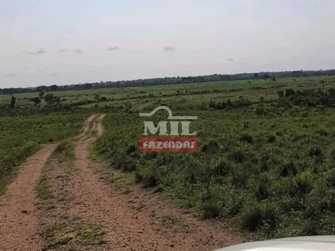 Fazenda 465 alqueires (2,252 hectares) Colinas - TO
