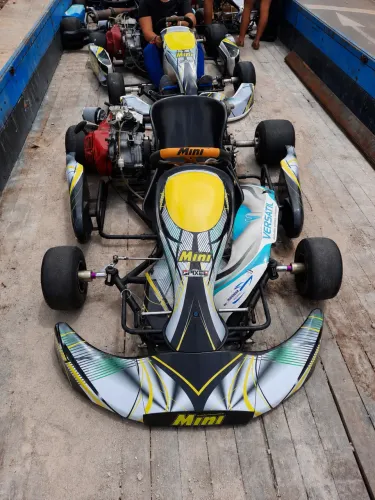 Kart Mini 2010 
