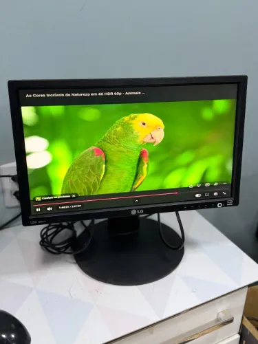 Monitor LG 19 Polegadas E19B13P-B LED Entradas DVI e VGA