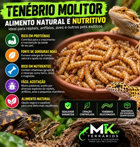 Tenébrio molitor 