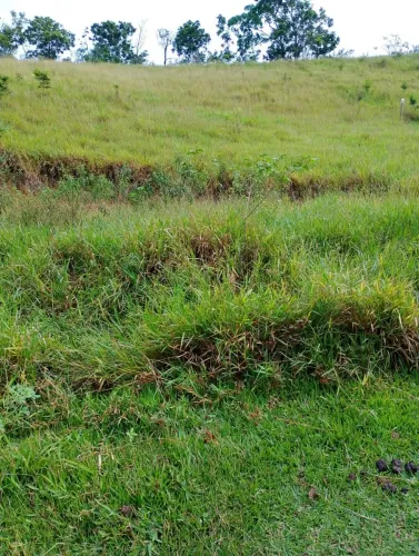 Terreno Estrada Velha de Arrozal