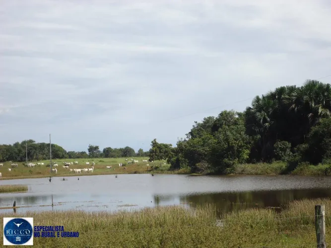 FAZENDA À VENDA NO SUL DO TOCANTINS | 120 ALQUEIRES | 576 HA | MATOPIBA