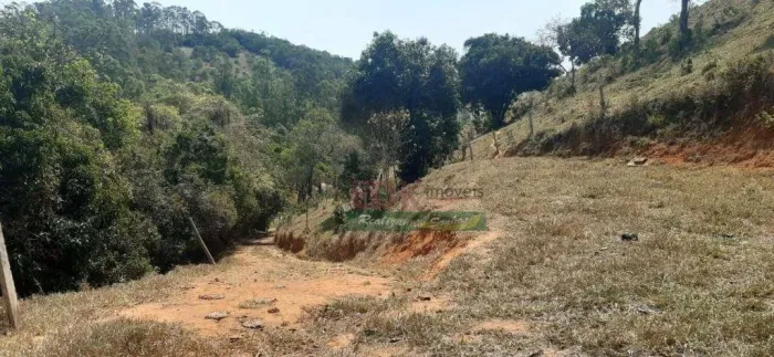 Chácara à venda, 40000 m² por R$ 800.000,00 - Benfica - São Luiz do Paraitinga/SP