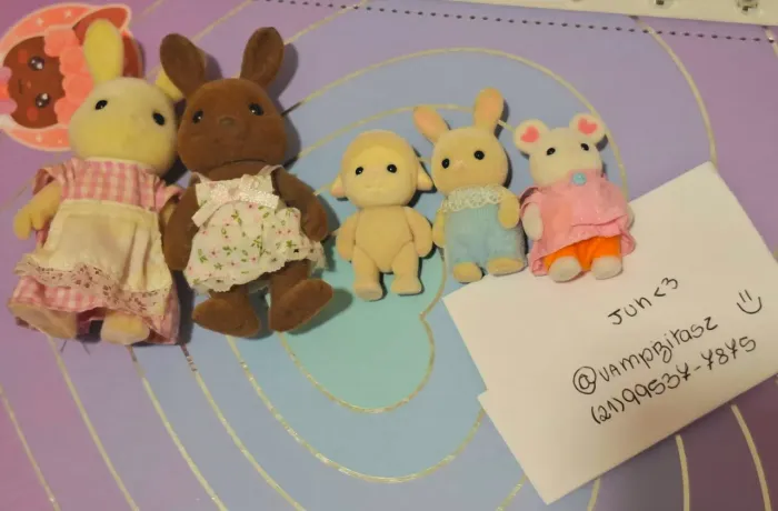 lotinho sylvanian families