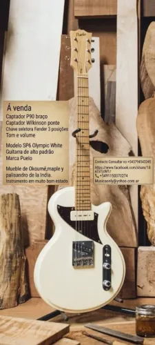 Vendo guitarra ? electrica marca puelo