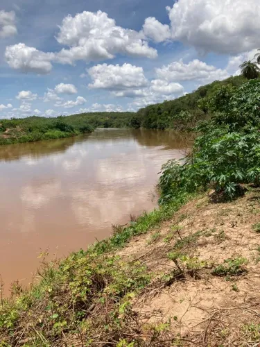 Fazenda de 100 hectares em Cordisburgo