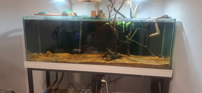 Aquário 300l completo com sump