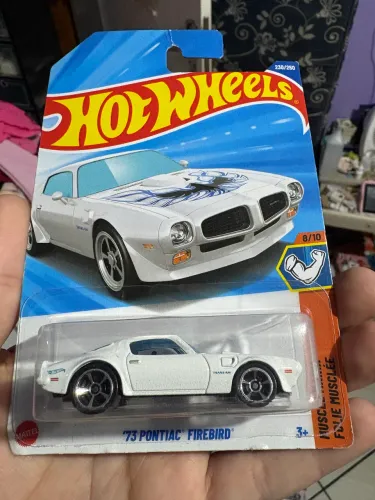 Carrinhos da Hot Wheels
