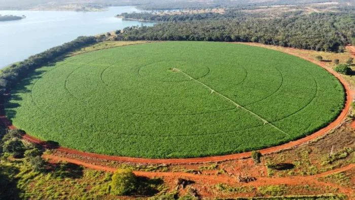 Morada Nova/ M.G. - Fazenda de 127 ha, na microrregião de Três Marias