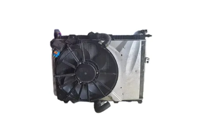 Kit Radiador Completo Peugeot 208 Citroen C4 2021 2022