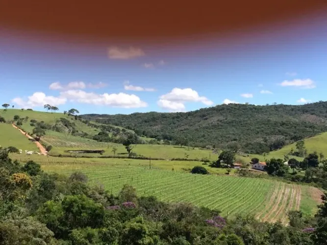 Fazenda com vinhedo em Serro 260ha maravilhosa na nascente do rio jequitinhonha