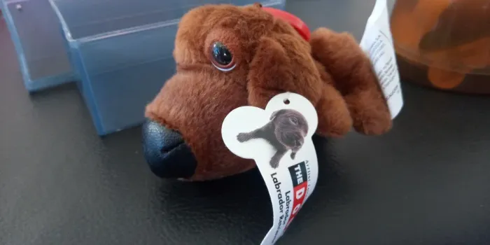 Labrador Chocolate The Dog Artlist Collection Mac Donalds 2005 com casinha. 
