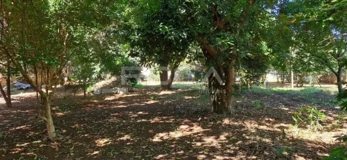 Terreno à venda na Vila Prado, São Carlos - Ótima oportunidade de investimento!