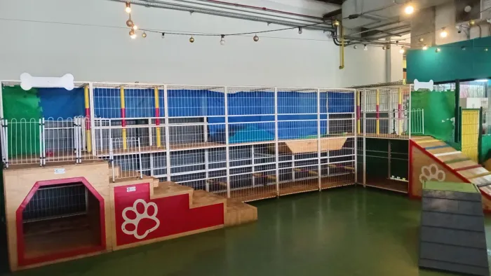 Brinquedo Agility para cachorro