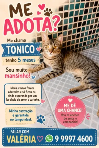 RAJADO OLHO COR DE MEL