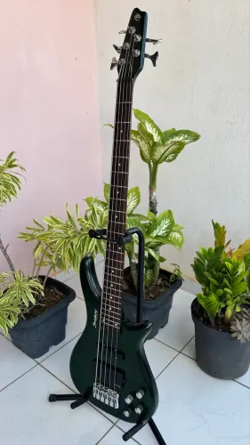 Baixo Strinberg 5c