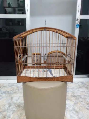 Gaiola de passeio abaulada com madeira de tom rajado na base