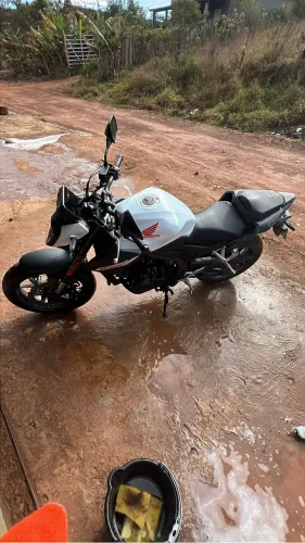 Hornet 500