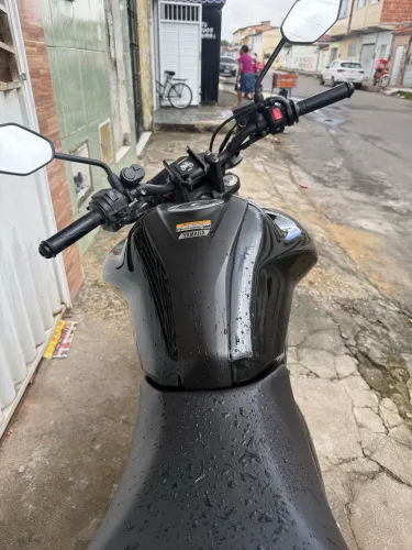 Fz15 2024