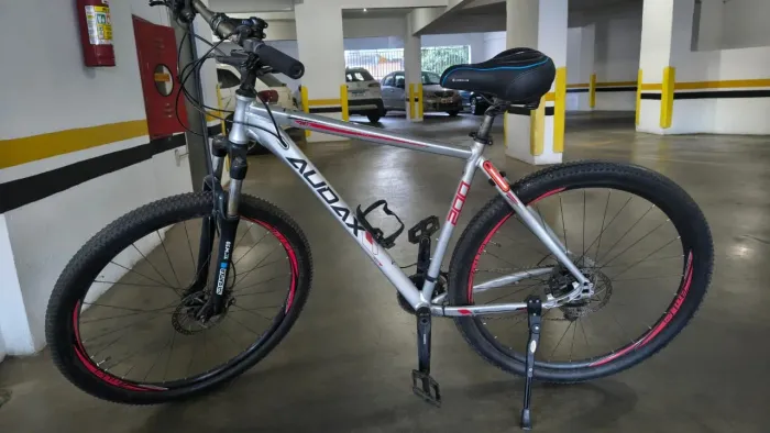 Bicicleta Audax