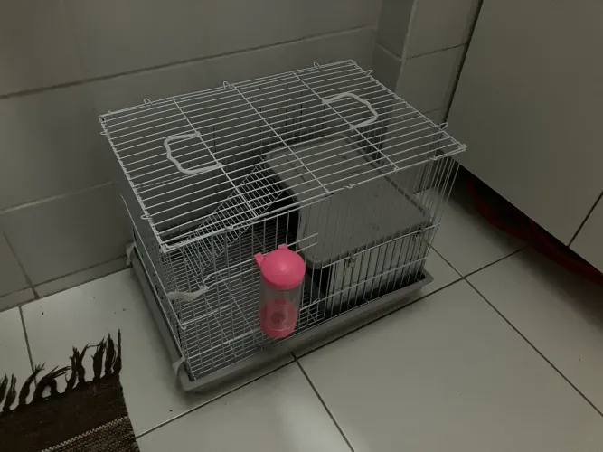 Gaiola para chinchila ou coelho