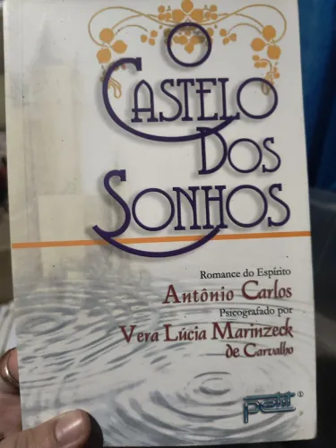 O castelo dos sonhos de Vera Lúcia marinzek de Carvalho