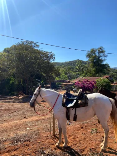 Sela de cavalo