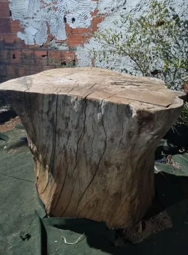Toco eucalipto