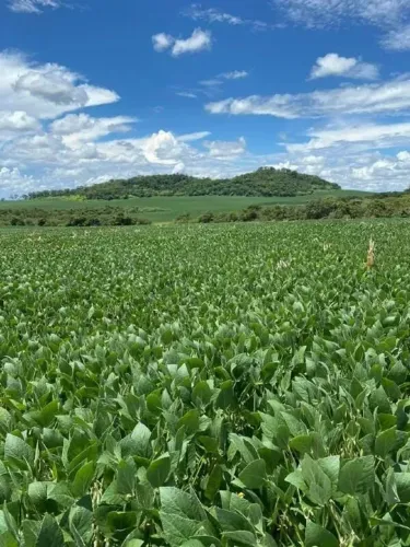 Imóvel rural, 465 m² no Zona Rural em Doverlândia