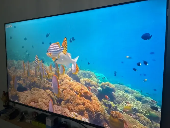 TCL 655 55 POL 4K