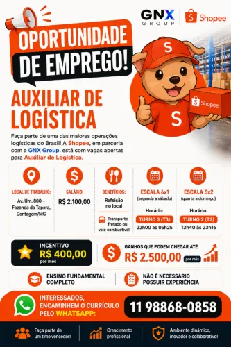 Auxiliar de Logística - Contagem/MG