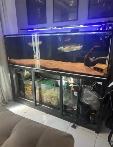 Aquário jumbo top completo de tudo. Leia o anúncio ,aceito cartão 