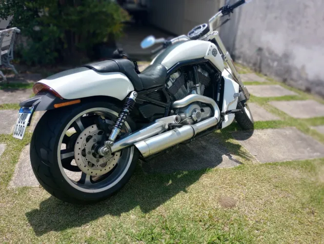 Harley Davidson Vrod Monstra.