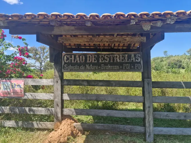 Fazenda , venda / municipio de Goiás, proximo a Itapirapua
