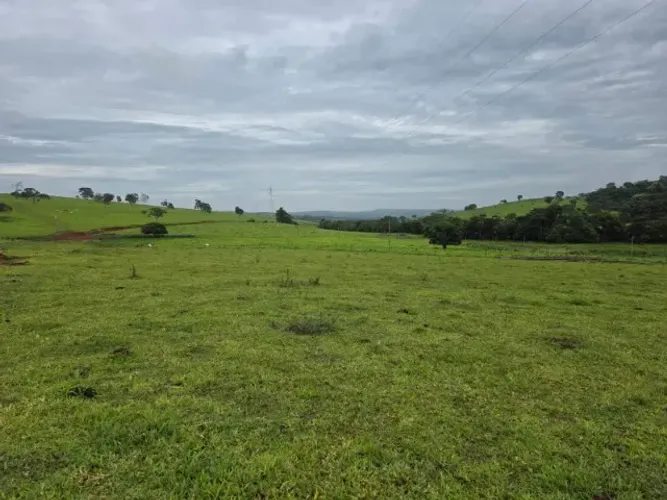 Um Espetáculo de Beleza! Fazenda com 177 Hectares, Região de Pimenta/MG