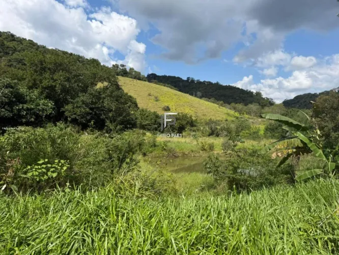 Fazenda para Venda em Cachoeiras de Macacu, Area Rual