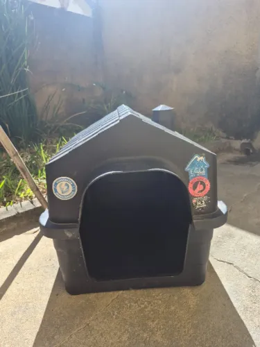 CASINHA PET Nº3