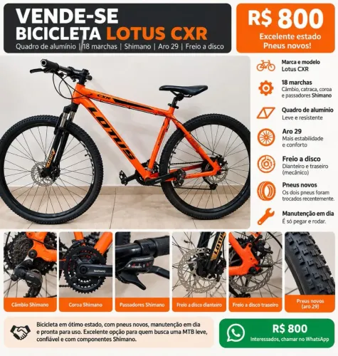 Bicicleta Lotus CXR aro 29