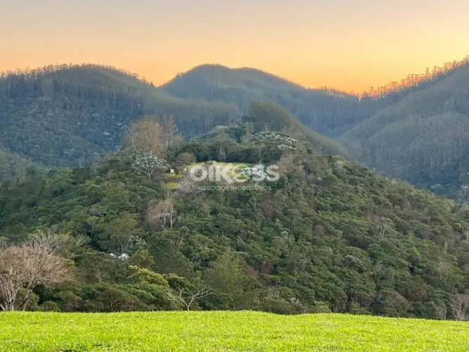 Sítio com 2 casas - São Francisco Xavier