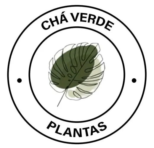 Plantas para apartamento entrego