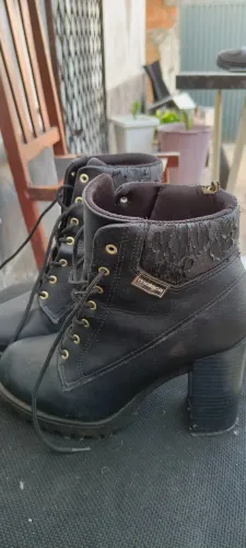 Bota