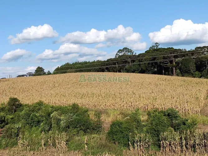 Terreno Linha Palmeiro Farroupilha
