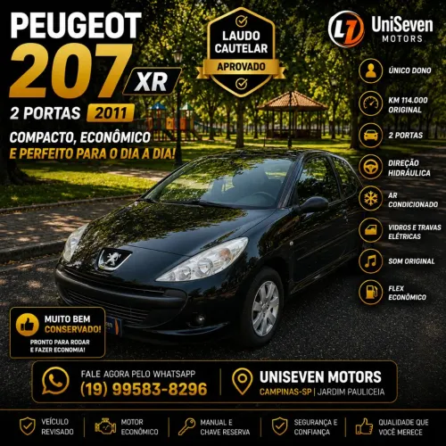 Peugeot 207 XR 1.4 Flex 8V 3P 2011
