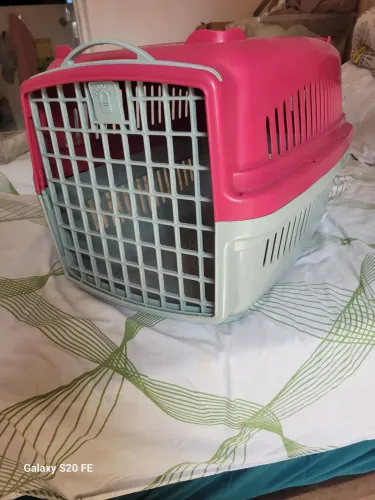 Caixa Para Transporte de Pets