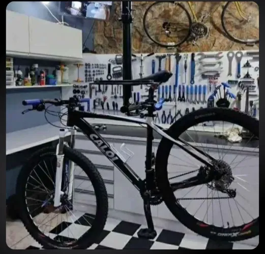 Caloi elite 30