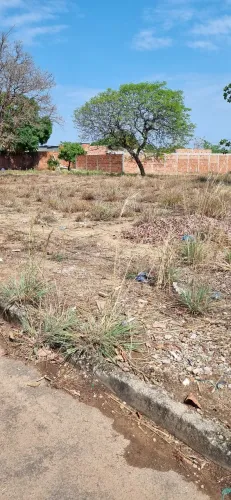 Lote Luzimangues Jardim do Porto