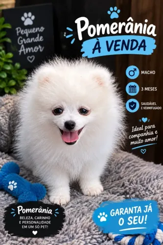 lulu da pomerania
