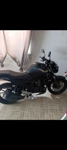 Fz15
