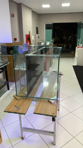 Aquário
