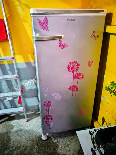 Geladeira falo usada antiga